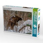 Fressen um zu Überleben (Puzzle)