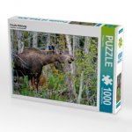 Frische Nahrung (Puzzle)