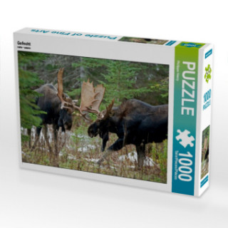 Gefecht (Puzzle)