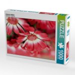 cineraria blüten (Puzzle)
