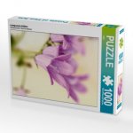 campanula blüten (Puzzle)