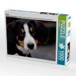 Hund (Puzzle)
