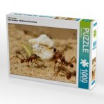 Ein Motiv aus dem Kalender Atta sexdens - Blattschneiderameise (Puzzle)