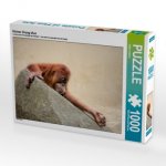 Kleiner Orang Utan (Puzzle)
