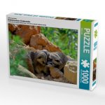 Ein Motiv aus dem Kalender Erdmännchens Kinderstube (Puzzle)
