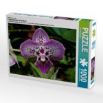 Ein Motiv aus dem Kalender Farbenreiche Orchideen (Puzzle)