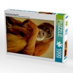 Naschender Orang Utan (Puzzle)