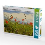 Ein Motiv aus dem Kalender Rosen und Mohnblüten Momente Schweizer Edition (Puzzle)