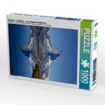 Spieglein , Spieglein.....das doppelte Matterhorn (Puzzle)