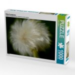 Wilde Pusteblume (Puzzle)