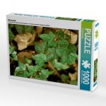 Efeuranke (Puzzle)