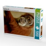 Neugieriger Affe (Puzzle)