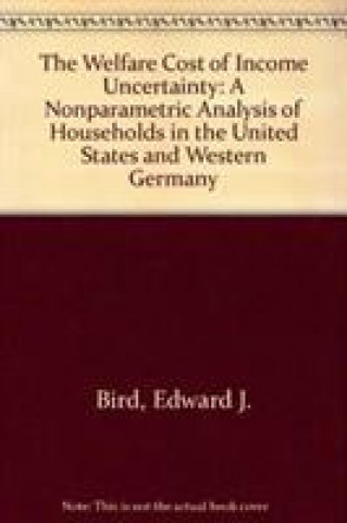 Welfare Cost Of Income Uncertainty