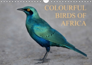 Colourful Birds of Africa (Wall Calendar 2018 DIN A4 Landscape)