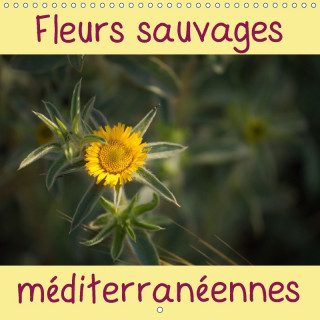 Fleurs sauvages méditerranéennes (Calendrier mural 2018 300 × 300 mm Square)