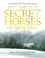 Secret Horses of Briar Hill