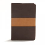 CSB Disciple's Study Bible, Brown/Tan Leathertouch: Black Letter, Reading Plan, Robby Gallaty, Study Notes and Commentary, Ribbon Marker, Sewn Binding