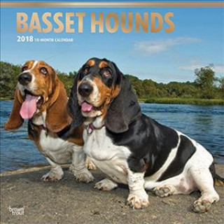 Basset Hounds - Bassets 2018 - 18-Monatskalender