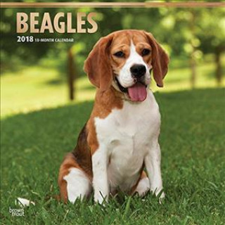 Beagles 2018 - 18-Monatskalender