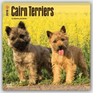 Cairn Terriers - Cairn Terrier 2018 - 18-Monatskalender mit freier DogDays-App