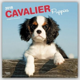 Cavalier King Charles Spaniel Puppies - Cavalier King Charles Spaniel Welpen 2018 - 18-Monatskalender mit freier DogDays-App