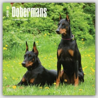 Dobermans - Dobermänner 2018 - 18-Monatskalender mit freier DogDays-App