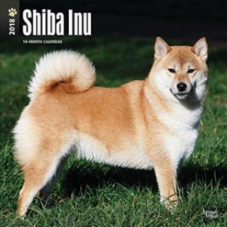 Shiba Inu 2018 - 18-Monatskalender