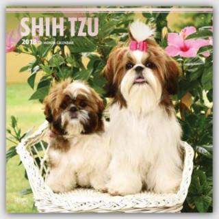 Shih Tzu 2018 - 18-Monatskalender mit freier DogDays-App