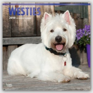 West Highland White Terriers - Westies 2018 - 18-Monatskalender mit freier DogDays-App