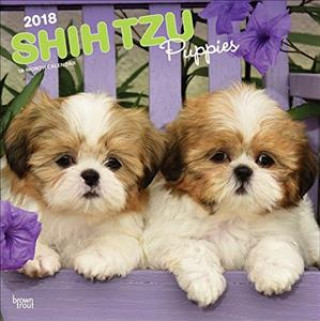 Shih Tzu Puppies 2018 - 18-Monatskalender