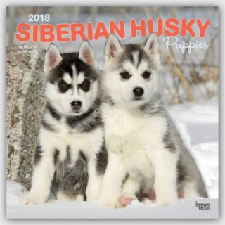 Siberian Husky Puppies - Husky-Welpen 2018 - 18-Monatskalender mit freier DogDays-App