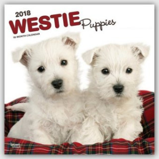 West Highland White Terrier Puppies - Westy-Welpen 2018 - 18-Monatskalender mit freier DogDays-App