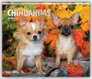 Chihuahuas - For the Love of 2018 - 18-Monatskalender mit freier DogDays-App