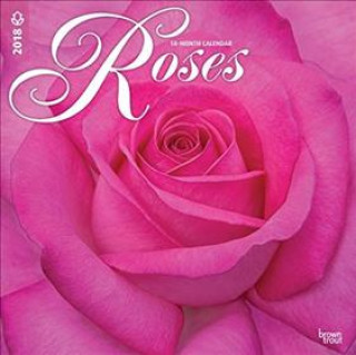 Roses - Rosen 2018 - 18-Monatskalender