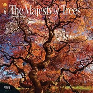 The Majesty of Trees - Majestätische Bäume 2018 - 18-Monatskalender