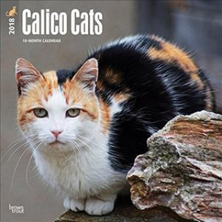 Calico Cats - Calicos 2018 - 18-Monatskalender