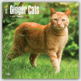 Ginger Cats - Rothaarige Katzen 2018 - 18-Monatskalender