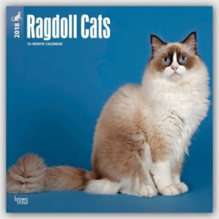 Ragdoll Cats - Ragdoll-Katzen 2018 - 18-Monatskalender