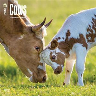 Cows - Kühe 2018 - 18-Monatskalender