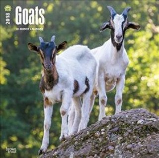 Goats - Ziegen 2018 - 18-Monatskalender