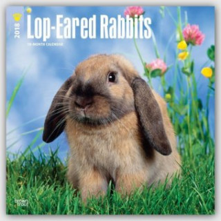 Lop-eared Rabbits - Kaninchen mit Hängeohren 2018 - Widderkaninchen - 18-Monatskalender