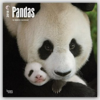 Pandas - Pandabären 2018 - 18-Monatskalender