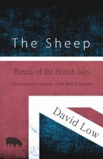 SHEEP - BREEDS OF THE BRITISH