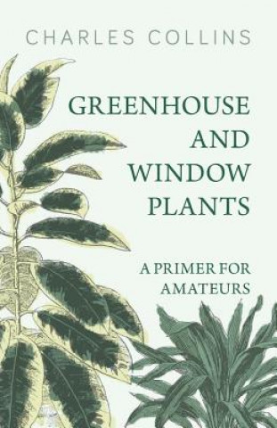 GREENHOUSE & WINDOW PLANTS - A