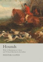 HOUNDS - W/16 ILLUS IN COLOUR
