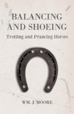 BALANCING & SHOEING TROTTING &