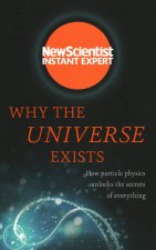 Why the Universe Exists