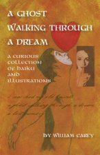 Ghost Walking Through a Dream