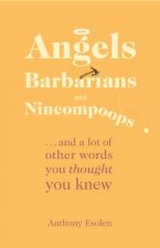 Angels, Barbarians, and Nincompoops