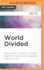 WORLD DIVIDED               2M